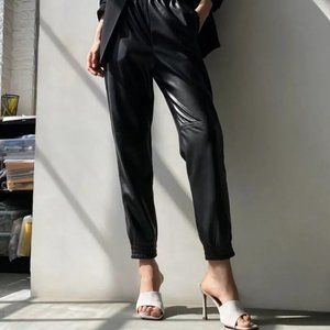 Wilfred Free Aritzia Jogger Pants (XS) Faux Leather